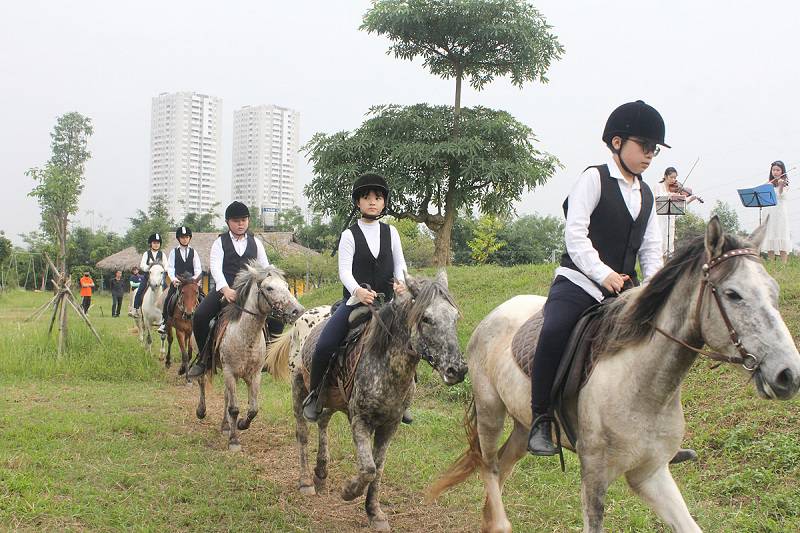 Môn thể thao cưỡi ngựa là lựa chọn hàng đầu của giới nhà giàu