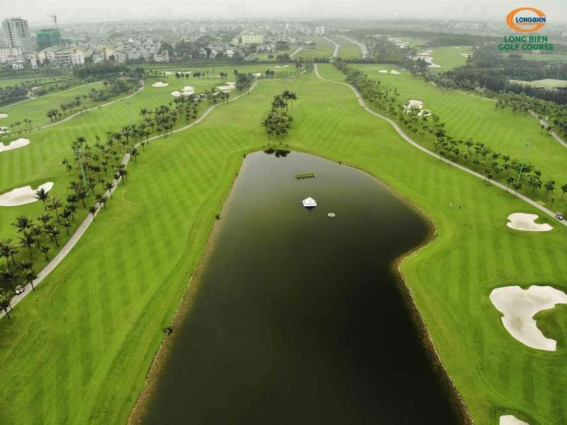 Sân golf Long Biên sử dụng những giống cỏ cao cấp để phủ mặt sân