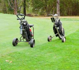 Buggy Trong Golf Là Gì? Cách Phân Biệt Golf Buggy Và Golf Cart