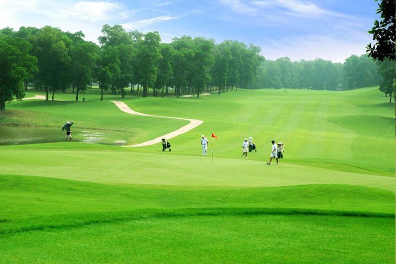 Sân golf 18 lỗ cần đáp ứng các quy định về chất lượng cỏ và cấu trúc sân 