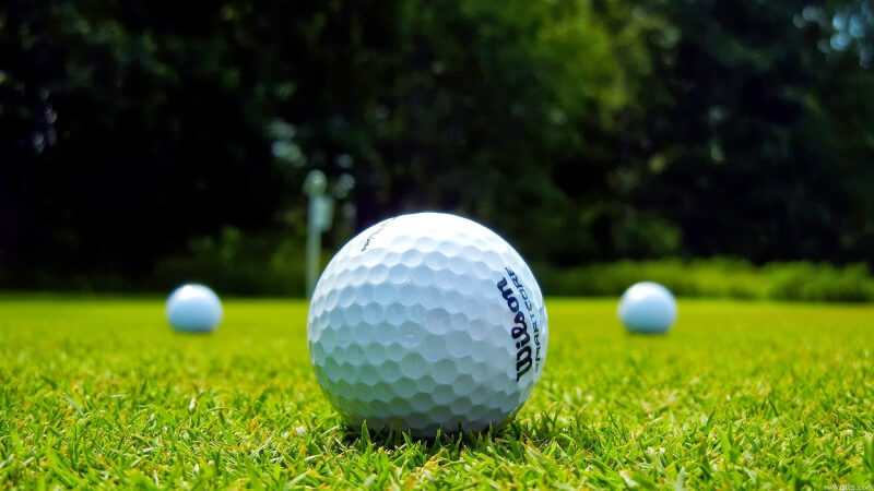 Golfer cần dựa vào một số yếu tố để lựa chọn được quả bóng gôn 2 lớp chất lượng nhất
