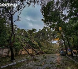 Hà Nội tan hoang sau bão vì cây xanh đổ gãy hàng loạt