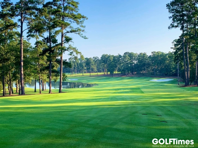 Sân golf Bluejack National thiết kế bởi Tiger Woods